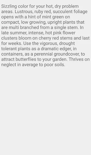 Sedum Fulda Glow Screenshot 1