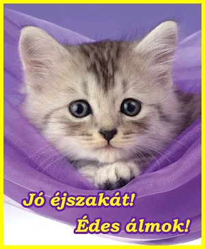 Jó estét Jó éjszakát Screenshot 1