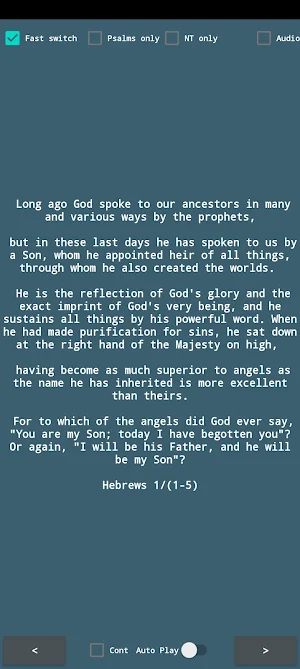 NRSV English Bible Verses Screenshot 2