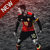 Belgium Football Team Wallpaper HD