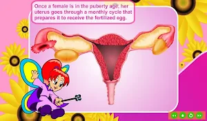 Menstrual Cycle Screenshot 3