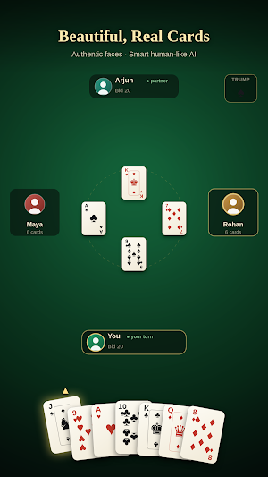 Royal 29 - Offline Card Game Screenshot 2
