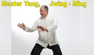 Tai Chi 108 Yang Form Screenshot 3