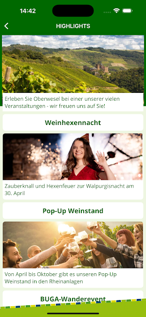 Oberwesel Screenshot 2