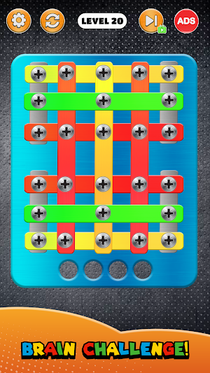 Screw Sort & Screwdriver Games Screenshot 1