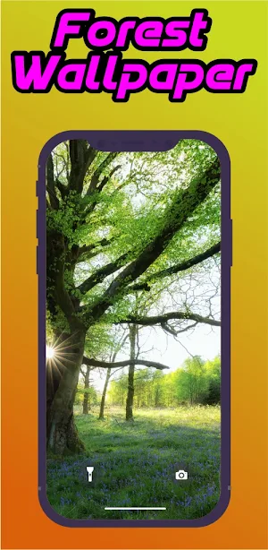 Forest Wallpaper Screenshot 2