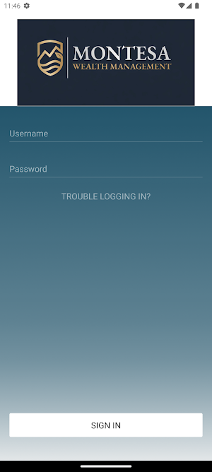 Montesa Wealth Management Screenshot 3