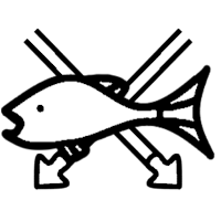 Spearfishing