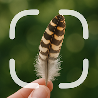 Feather Identifier
