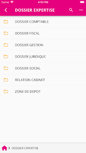 Elisabeth T : A vos côtés ! Screenshot 3