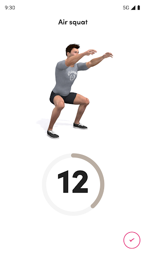 Sanne van Schaik Coaching Screenshot 1