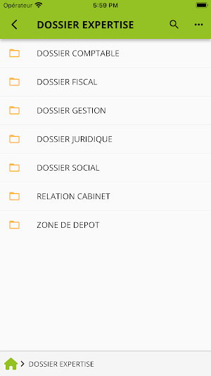 Eurêka Consulting Screenshot 3