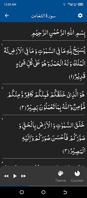 Surah Taghabun سورة التغابن Screenshot 1