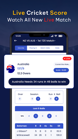 Live Cricket Score 2024 Screenshot 0