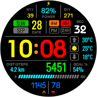 DIGI ASMIDINO CTS58 Watch face