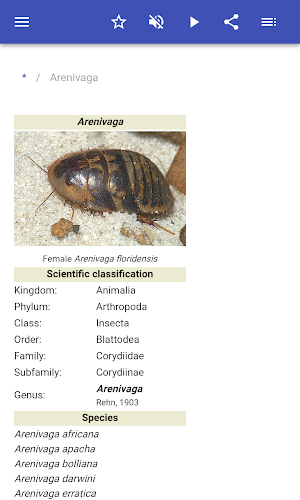 Cockroaches Screenshot 1
