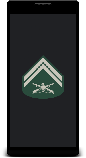 Military ranks of Brazil Screenshot 3
