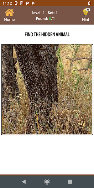 Hidden objects and Animals Screenshot 0