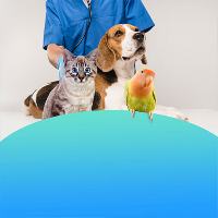 PetCare JM