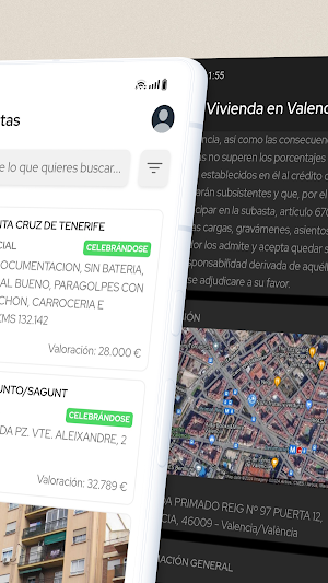 Subastas públicas Screenshot 1