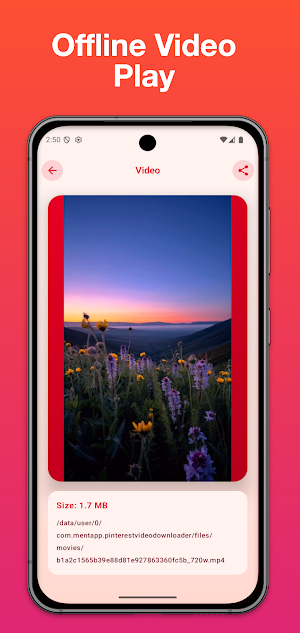 Video Downloader for Pinterest Screenshot 1