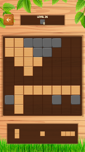 Daily Wood Block Puzzle Screenshot 3