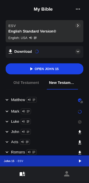 Amplify: Global Audio Bibles Screenshot 1