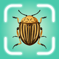 Insect Identifier: Bug Finder