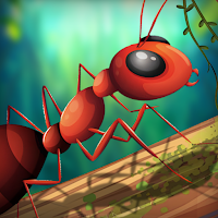 Ant Daily