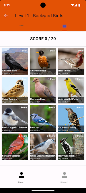 BirdBingo&BirdWatching Safaris Screenshot 2