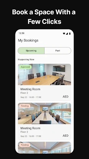 RSO Workplace Screenshot 1
