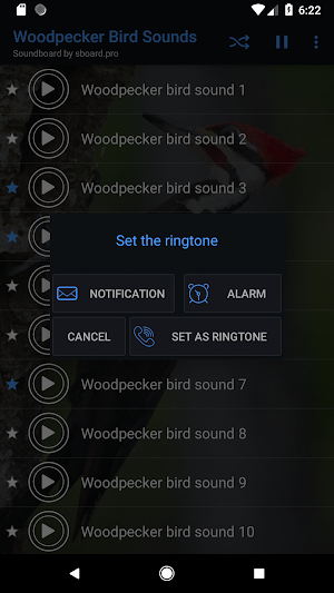 Woodpecker bird sounds ~ Sboard.pro Screenshot 2