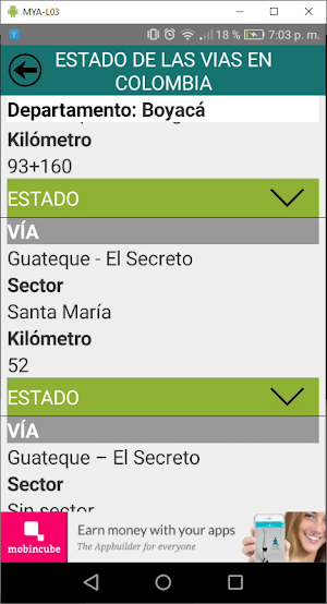 Estado de las vías Screenshot 3