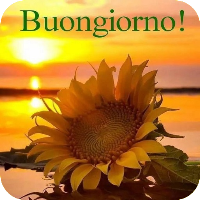 Buongiorno Immagini