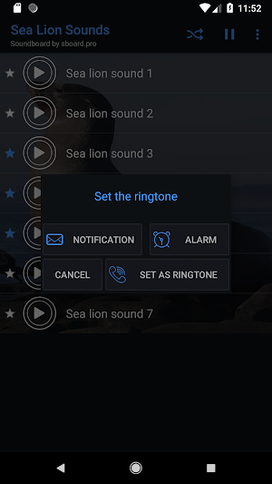 Sea lion sounds ~ Sboard.pro Screenshot 2