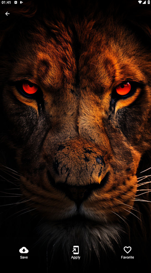 Lion Wallpapers Screenshot 3