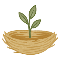 The Little Olive Branch