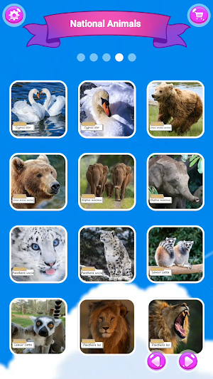 National Animals Puzzle Screenshot 3
