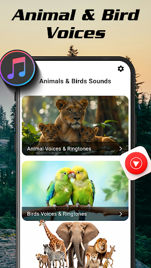 Animal Ringtones Birds Sounds Screenshot 0