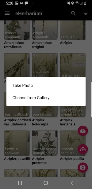 eHerbarium Screenshot 1