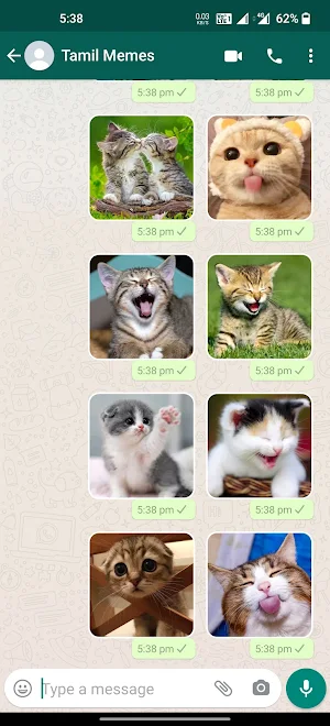 Cat Stickers | WAStickerApps Screenshot 3