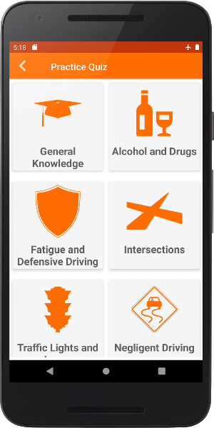 The Highway Code Zimbabwe Screenshot 2