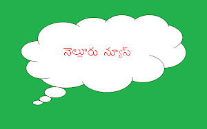 Nellore News Screenshot 2