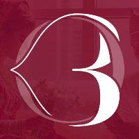 BVAAH Wedding Planner