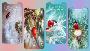 Cute Ladybug Wallpaper Screenshot 0