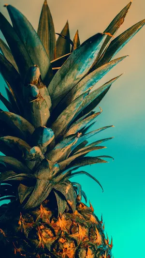 Pineapple Wallpaper Screenshot 2