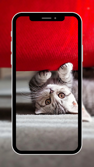 Cute Animal Wallpaper Screenshot 2