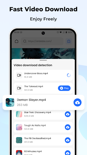 Flash Browser Screenshot 2