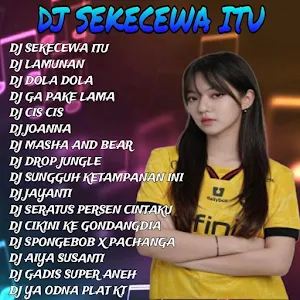 DJ SEKECEWA ITU DJ DOLA VIRAL Screenshot 0
