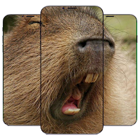 Capybara Wallpaper